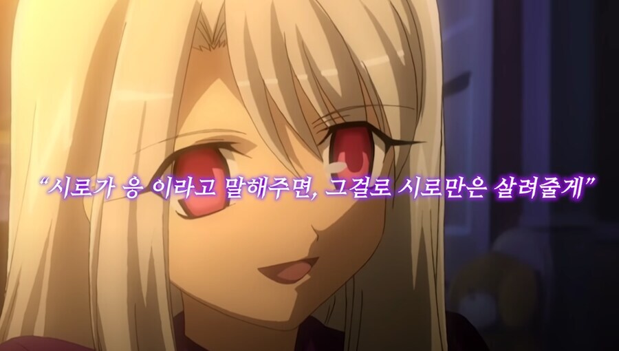 Fate) 이리야 빠는건 페도 아님_2.jpg