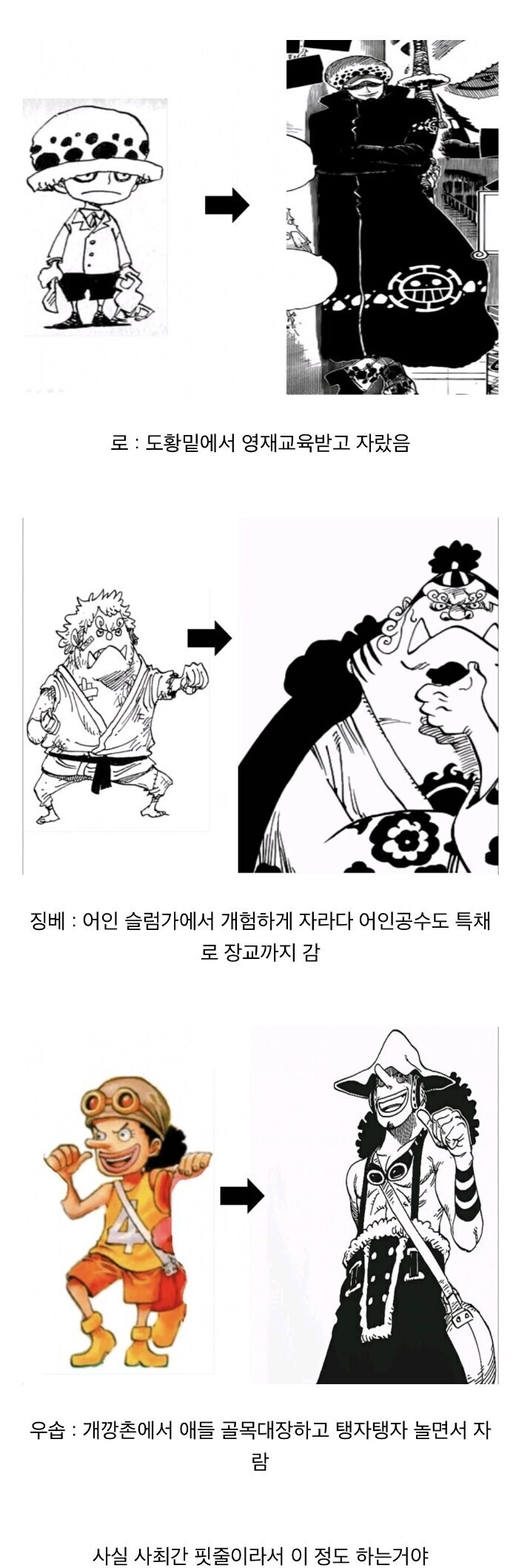 원피스) 밀짚모자 일당중 우솝만 유독 조빱인 이유.jpg_2.jpg