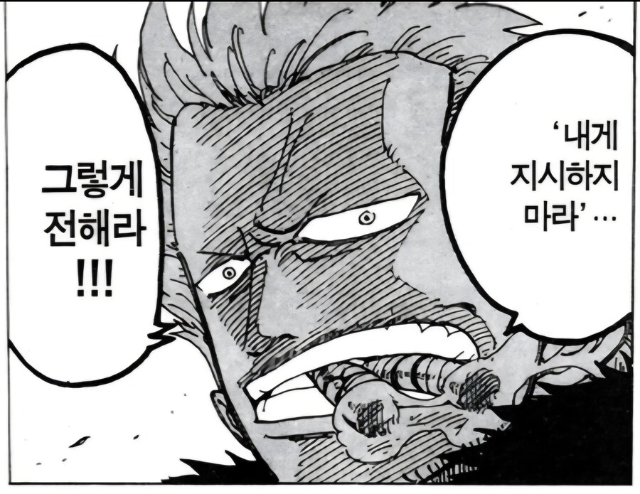 원피스) 다시 보면 웃음벨인 대사_1.jpg