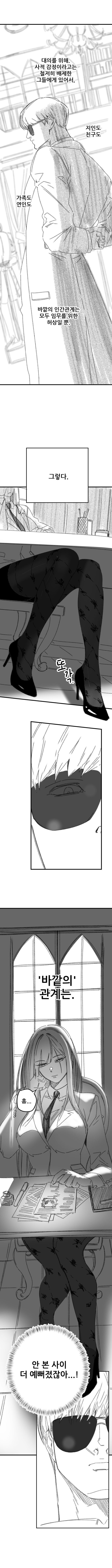 프로들이 애국하는 만화.manwha_3.jpg