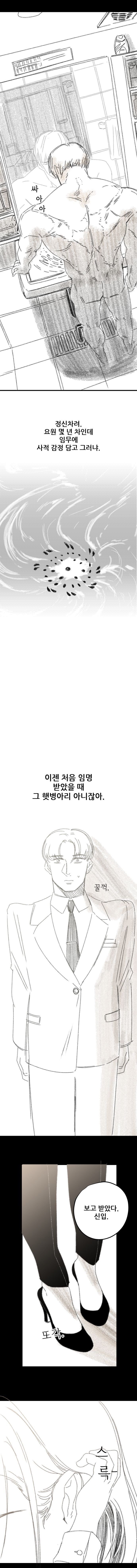 프로들이 애국하는 만화.manwha_15.jpg