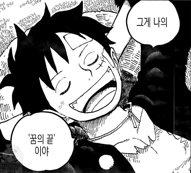 원피스) 루피랑 검은수염의 가장 큰 차이점_2.png