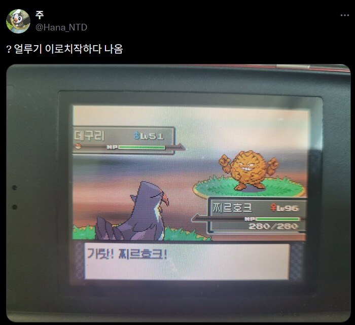 포켓몬)오우! 이로치 데구리~_1.jpg
