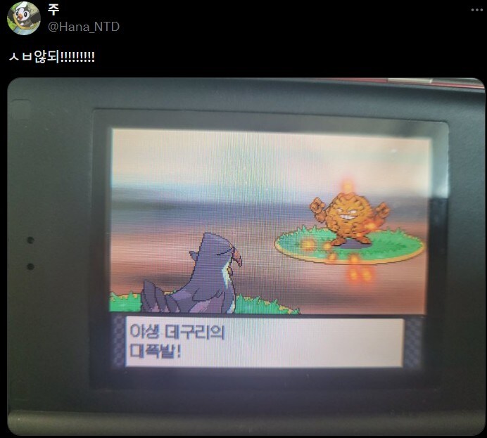 포켓몬)오우! 이로치 데구리~_4.jpg