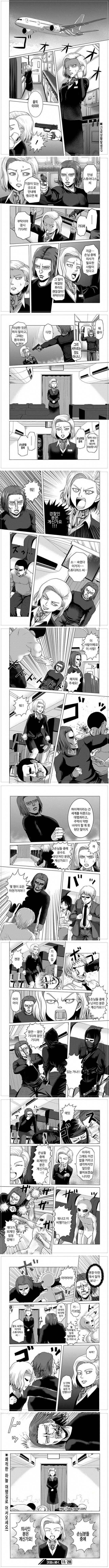 비행기가 테러 당하는 만화_1.jpg