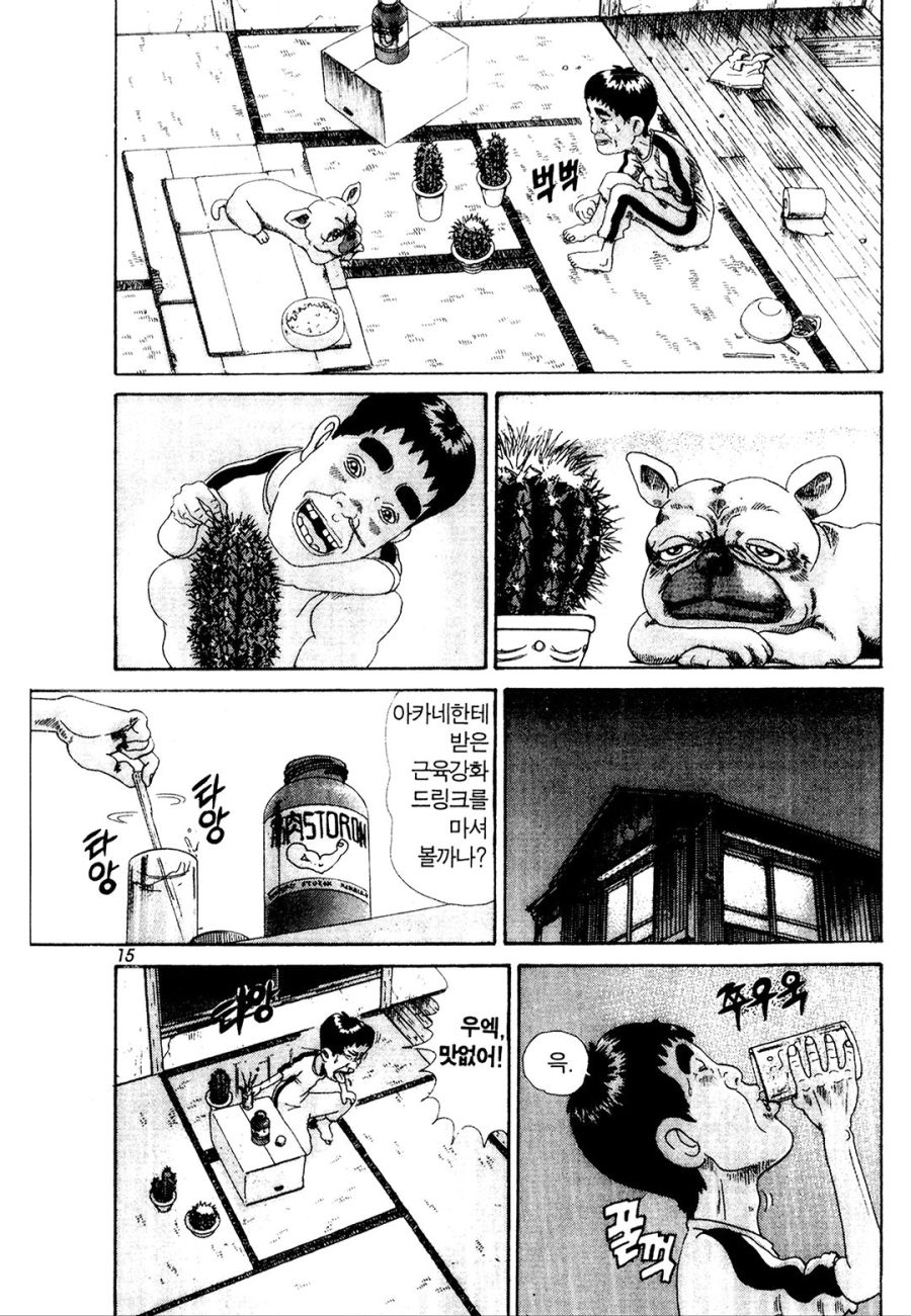 [괴짜가족]선인장과 대결하는 이소룡 선생_7.jpg