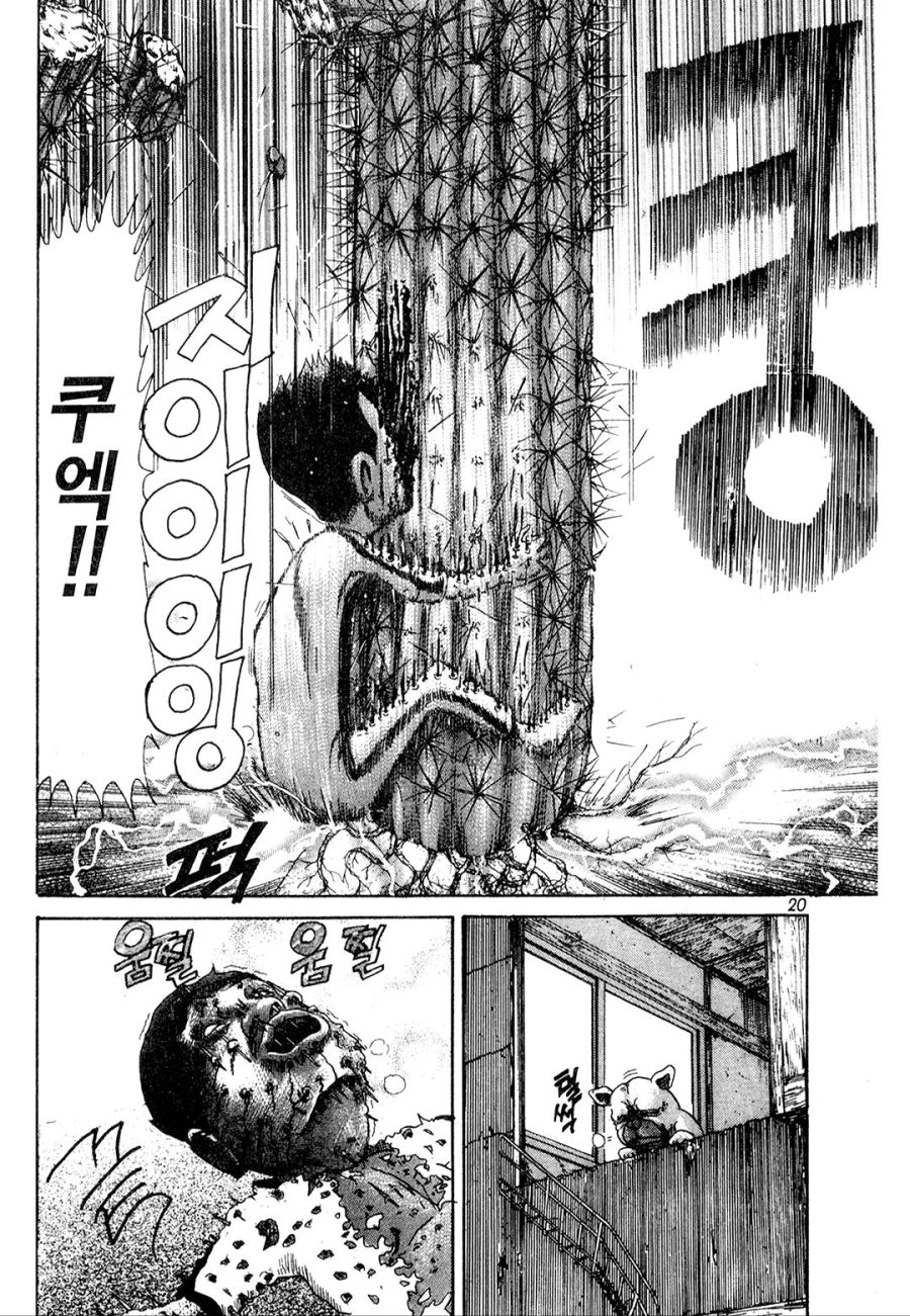 [괴짜가족]선인장과 대결하는 이소룡 선생_12.jpg