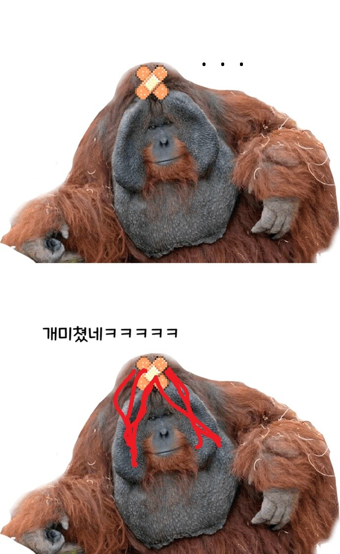 라오) 신캐랑 스킨 나오는 만화_2.jpg