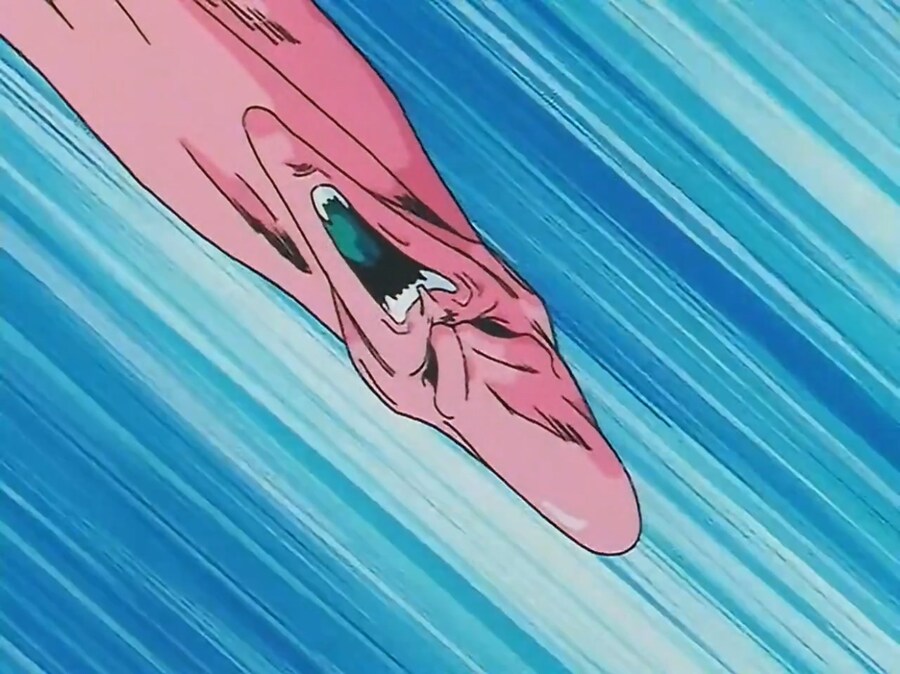 드래곤볼) 애니판 부우가 베지트한테 쓴 기술_1.jpg