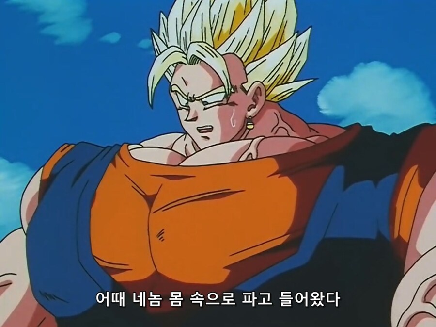 드래곤볼) 애니판 부우가 베지트한테 쓴 기술_4.jpg