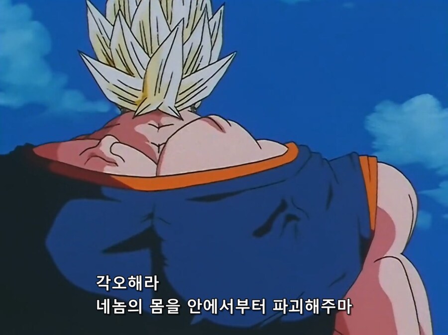드래곤볼) 애니판 부우가 베지트한테 쓴 기술_5.jpg