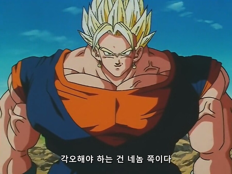 드래곤볼) 애니판 부우가 베지트한테 쓴 기술_7.jpg