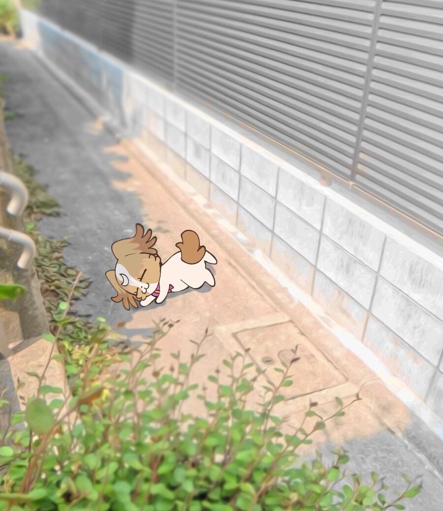 프리큐어)산책을 즐기는 프리큐어.jpg_1.jpg