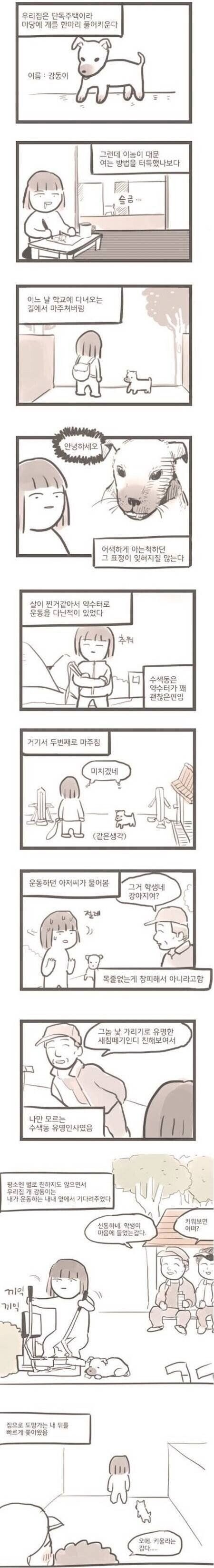 어색한 개와 주인 만화_1.jpg