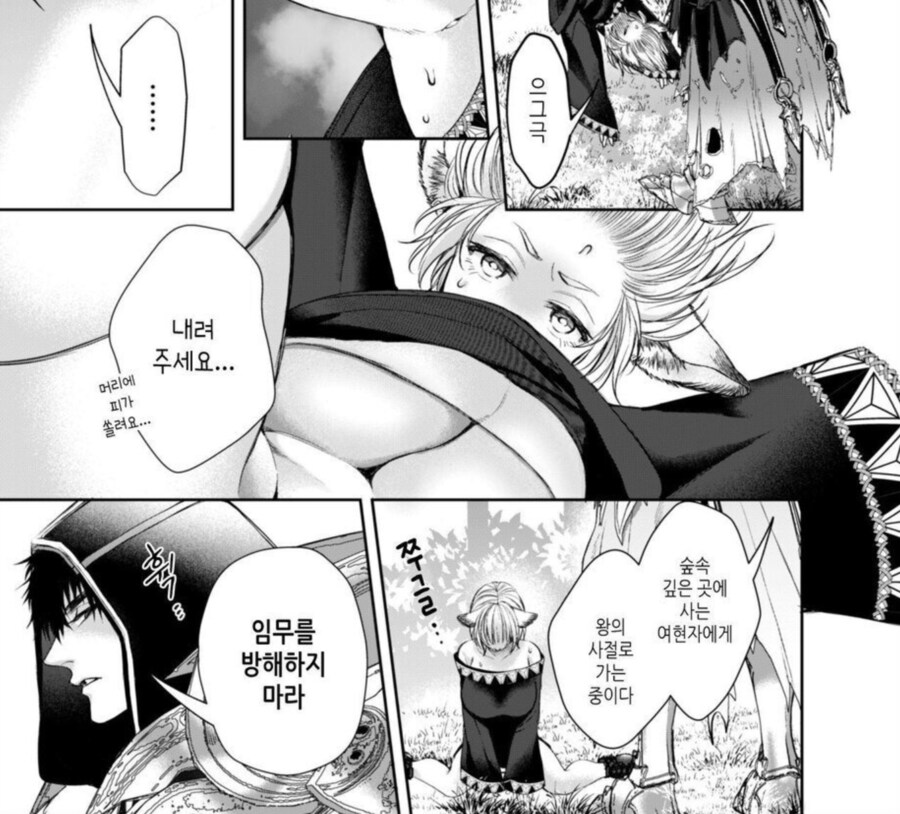 순애) 빨강망토를 빼앗는 늑대여자.manga_8.png