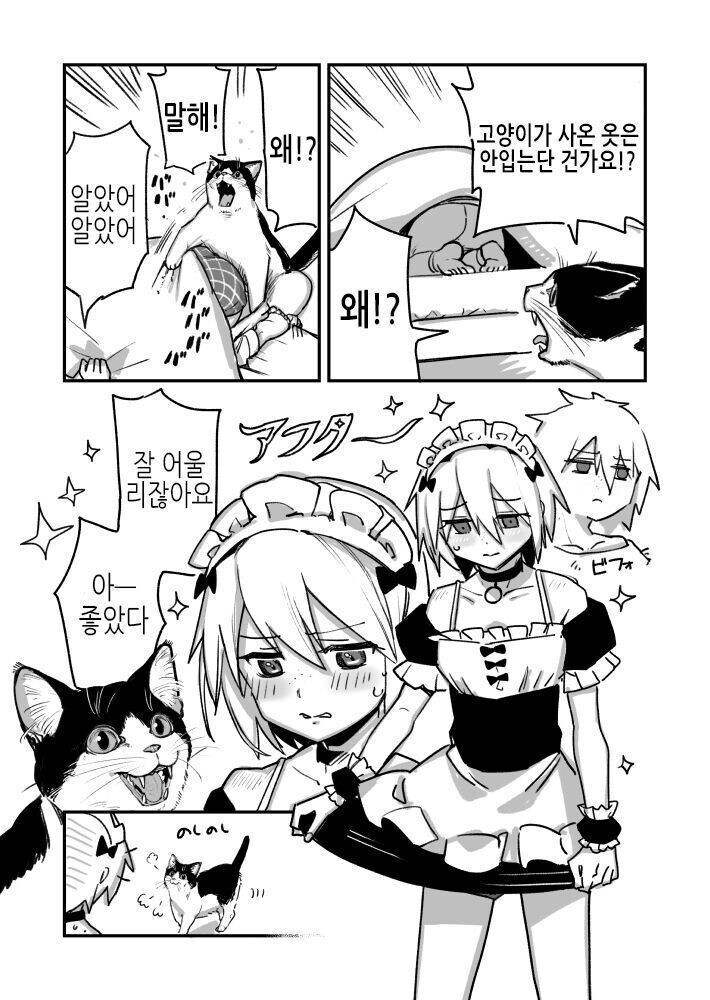 고양이가 옷 사주는 만화_2.jpg