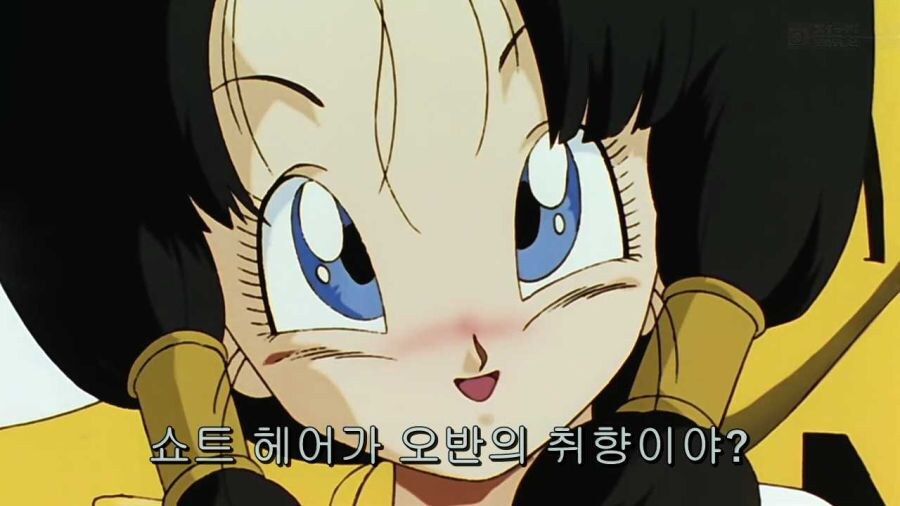 드래곤볼) 이래보니 오반 마인부우편에서 트롤이네_2.jpg