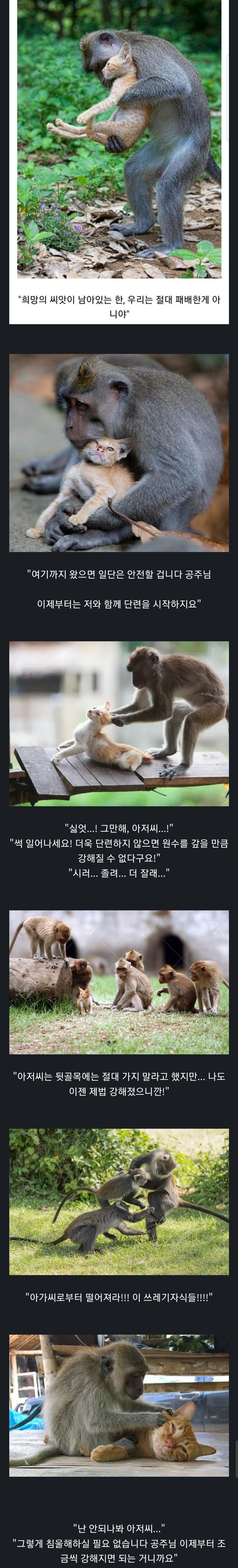 한편의 소년만화 클리셰...jpg_1.jpg