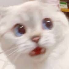 DC)배트맨 만화 중 제일 이질적인 세계선_6.jpg