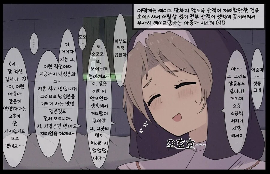 산적에게 사로잡힌 41세 수녀가 애원하는 만화_1.webp