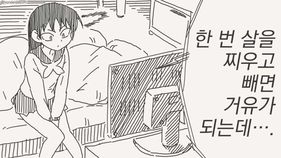 살을 찌우는 만화_1.jpg