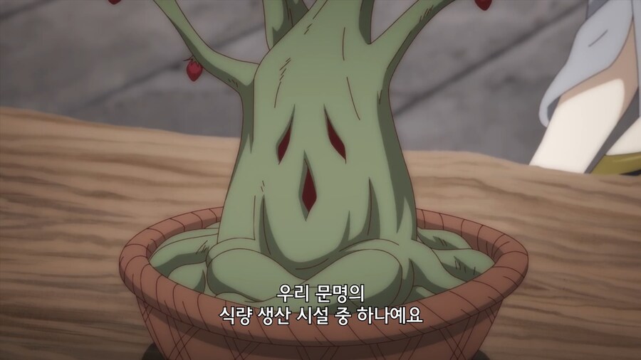 고기가 열리는 신기한 나무_4.jpg