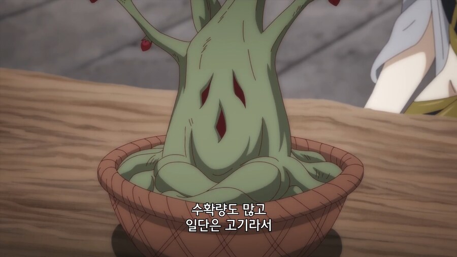 고기가 열리는 신기한 나무_6.jpg