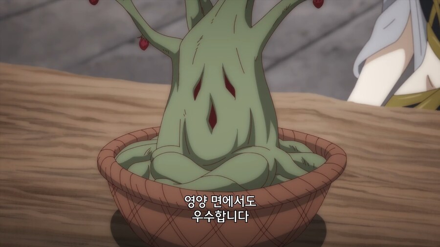 고기가 열리는 신기한 나무_7.jpg