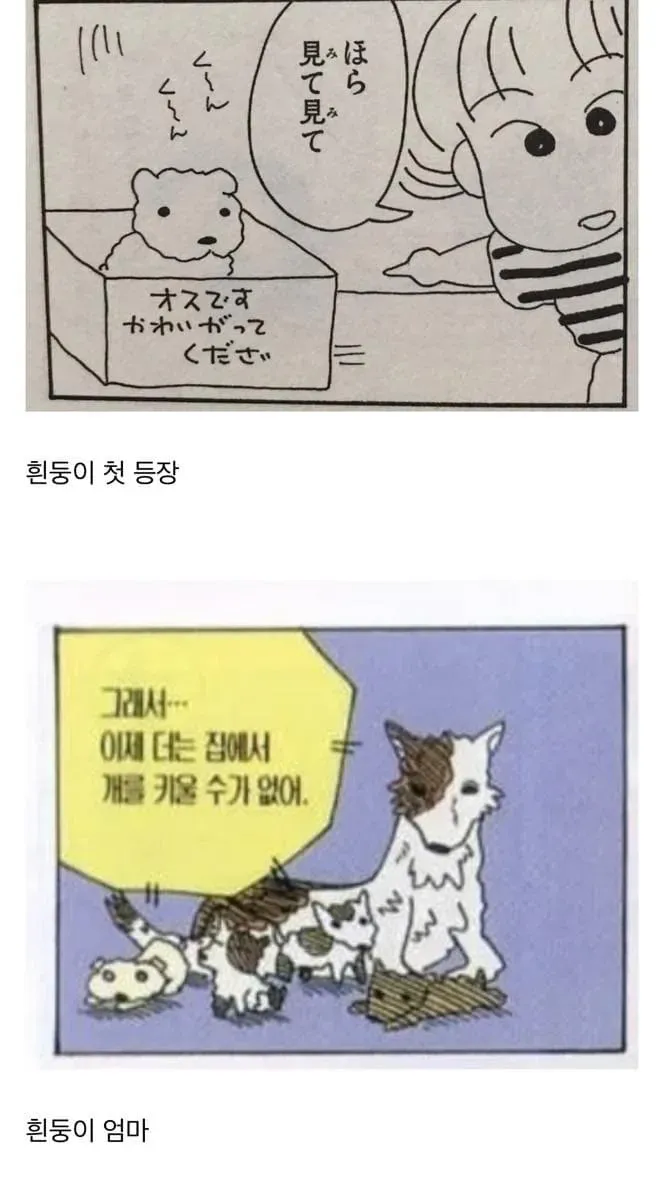 짱구 덕후만 아는 레어짤_17.webp
