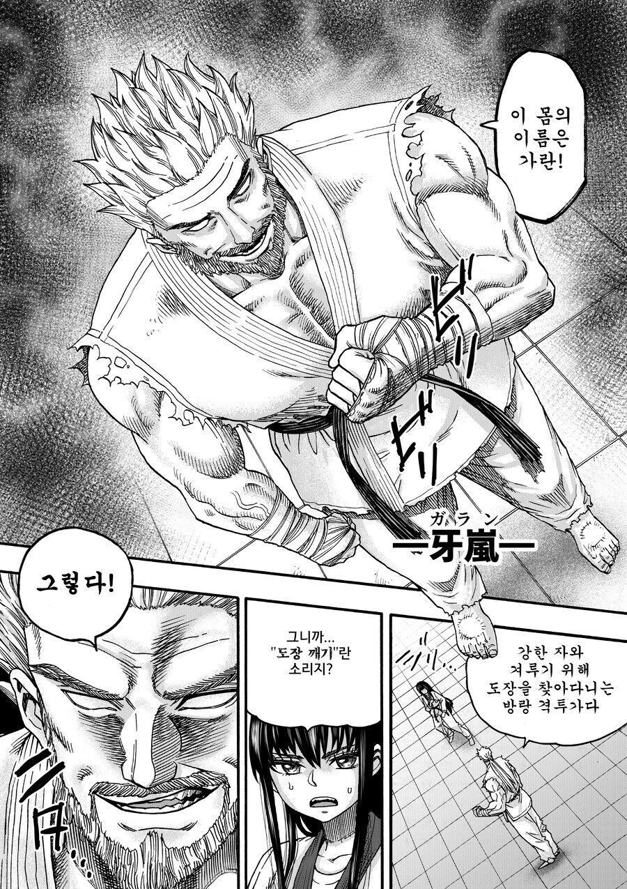 도장깨기 당하는 태권도장 만화_4.jpg