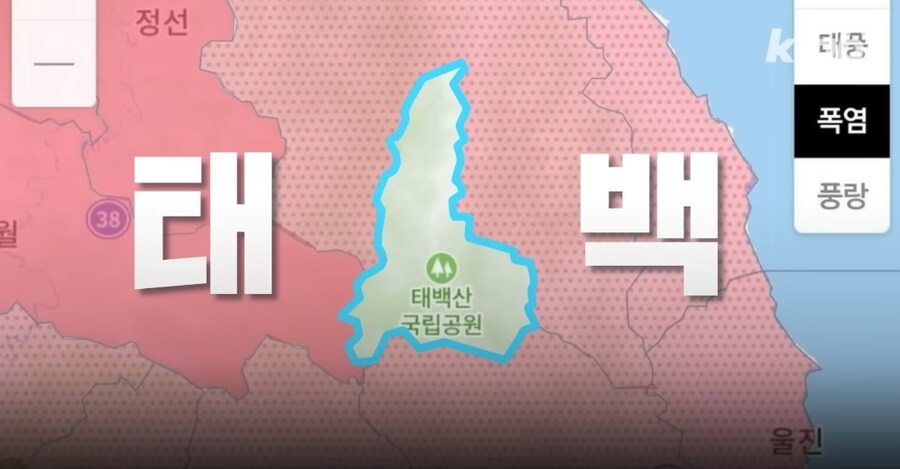 폭염때 태백으로 도망가야 하는 이유_1.jpg