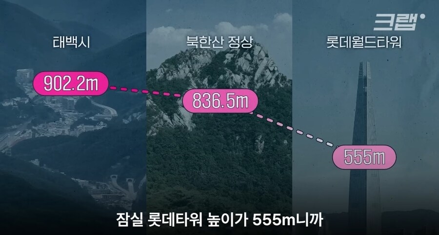폭염때 태백으로 도망가야 하는 이유_3.jpg