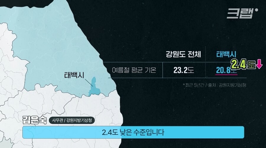 폭염때 태백으로 도망가야 하는 이유_2.jpg