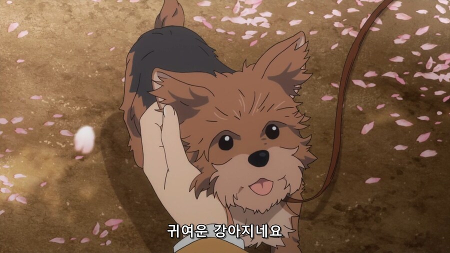 @) 개 따.먹고 싶은 아이돌 두명_2.jpg