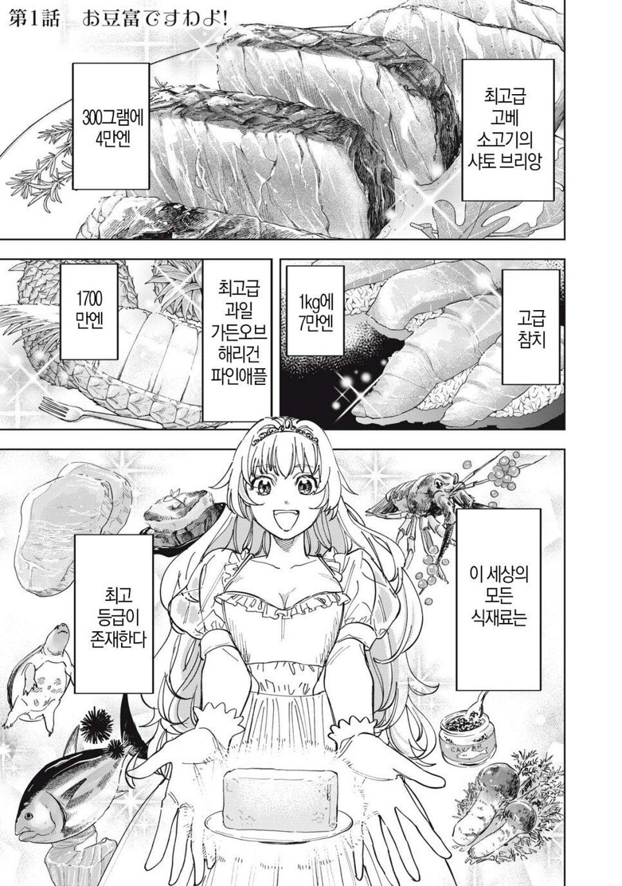 몰락한 영애가 사치 부리는 만화_1.jpg