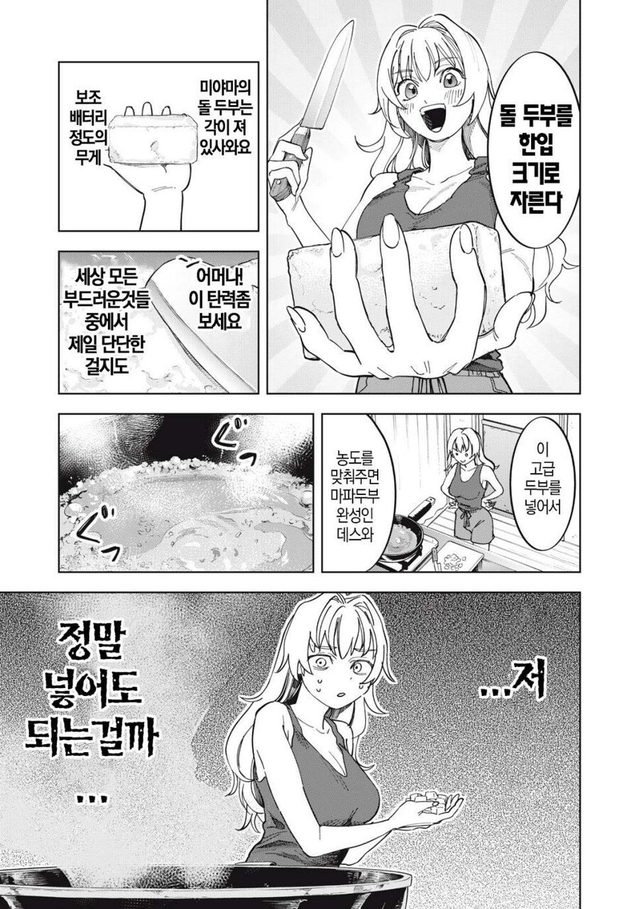 몰락한 영애가 사치 부리는 만화_18.jpg