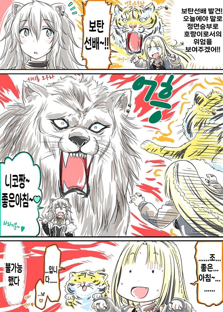 버튜버)사자에게 덤비는 호랑이 니코땅.comic_1.jpg