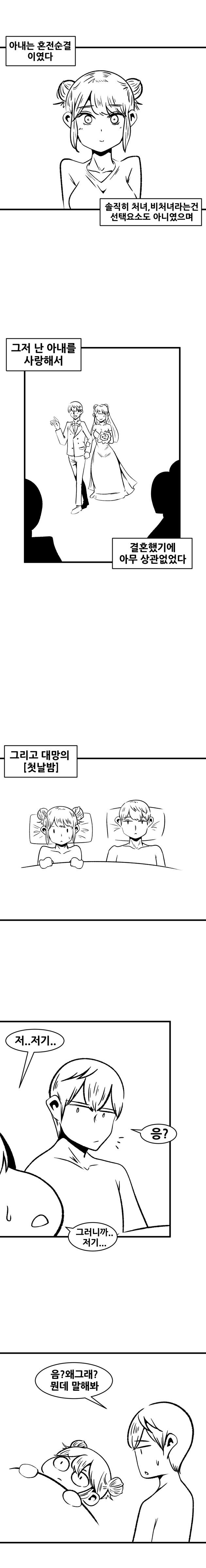혼전순결 아내 .manhwa_1.jpg