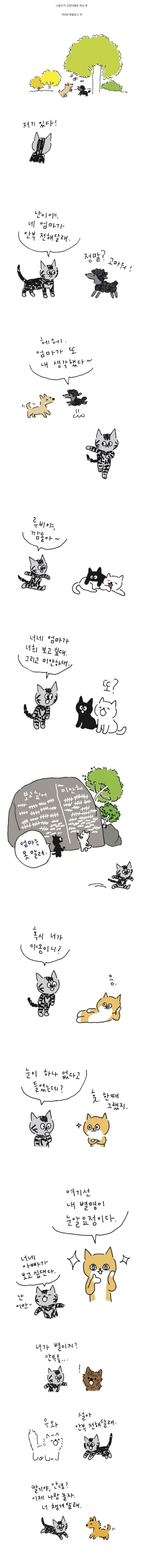 사람이 죽으면 먼저 가있던 반려동물이 마중나온다는 만화_2.jpg