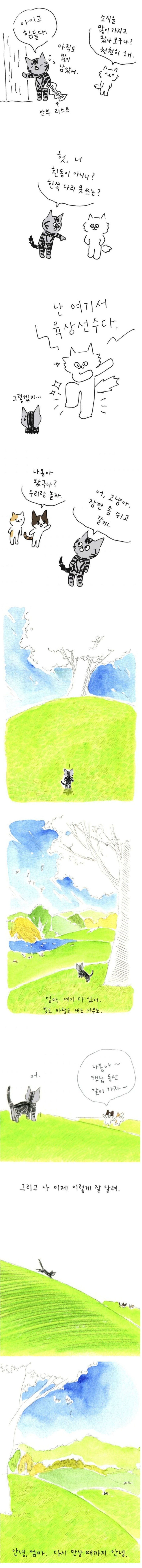 사람이 죽으면 먼저 가있던 반려동물이 마중나온다는 만화_3.jpg