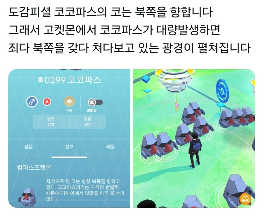 포켓몬 디자인에 숨겨진 디테일.manwha_8.jpg