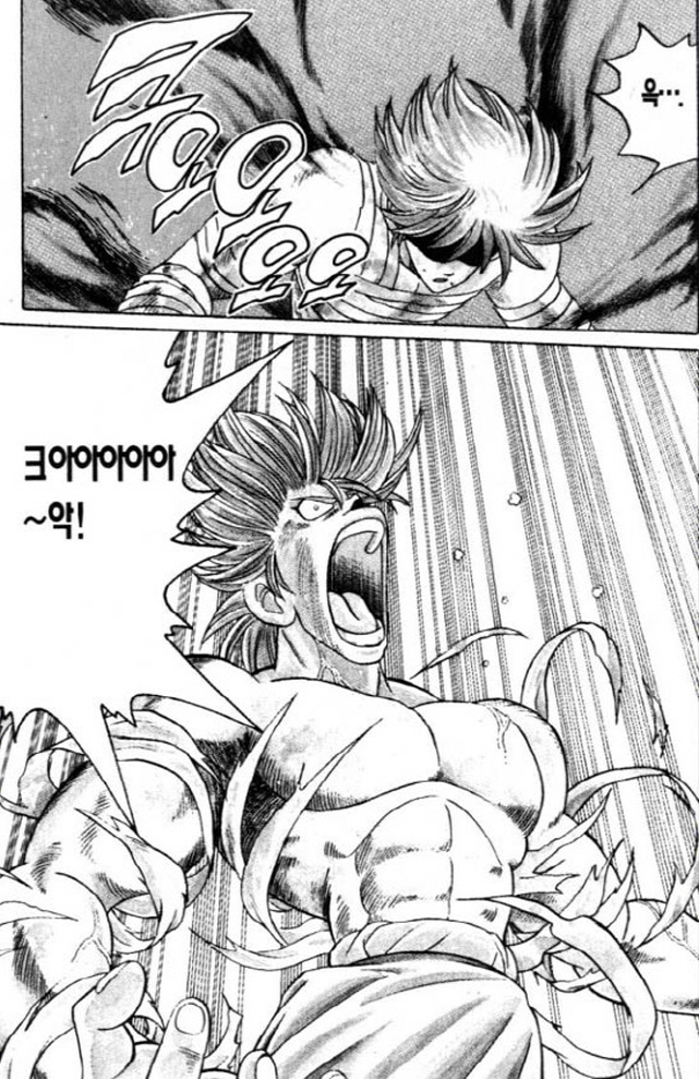 [다이의대모험]존나 짱센 투기를 손에 넣다_3.jpg