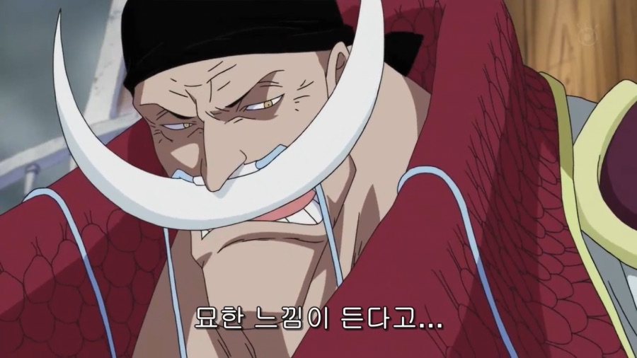 원피스)흰수염이 티치 쫓지 말자고 한 이유_8.png