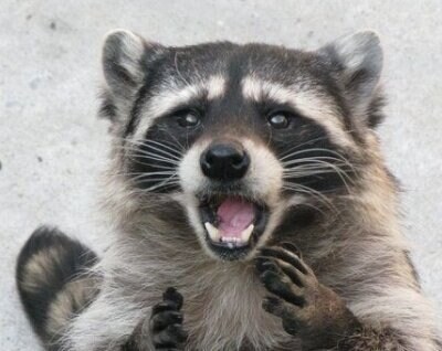 악마에게 소원을 비는.manhwa_13.jpg