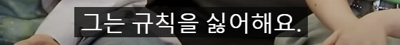 디지몬] 성우 인터뷰에서 초반의 대략적인 내용을 유추_2.png