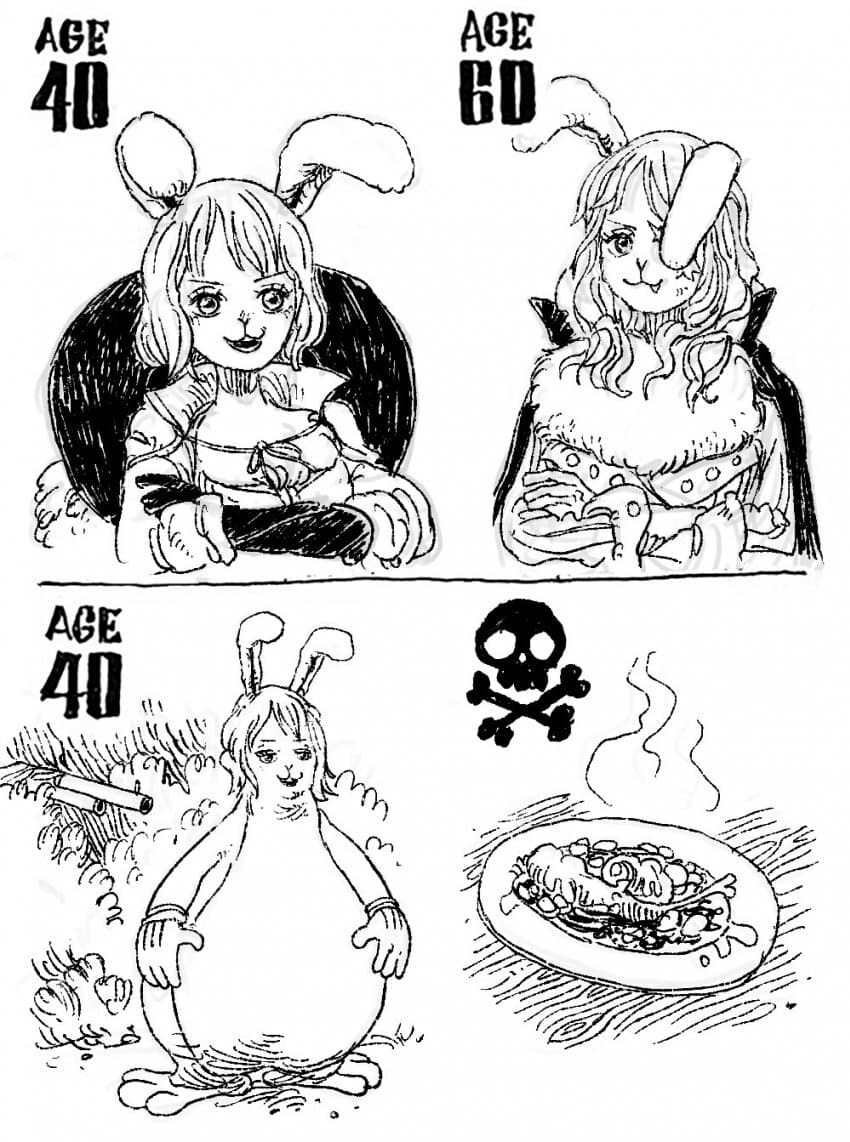 원피스) 무슨 일이 생긴 미래.jpg_7.jpg
