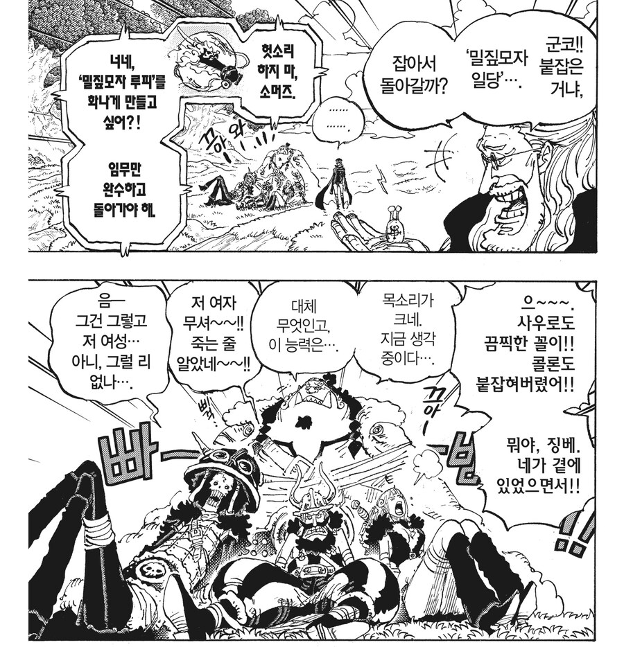 원피스) 의외로 다들 인정하는 것_5.jpg
