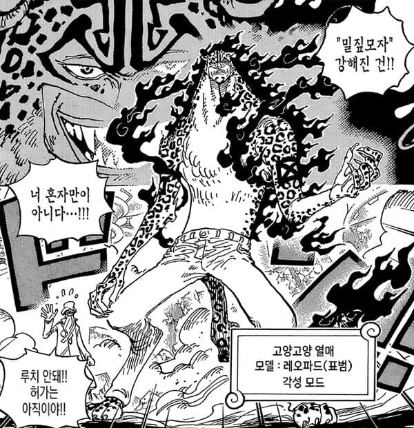 원피스) 점점 추해지고 있는 케릭터_1.jpg