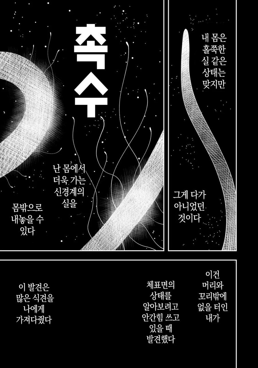 네 가까이에서 지켜보고 있다 왕녀 만화_35.png