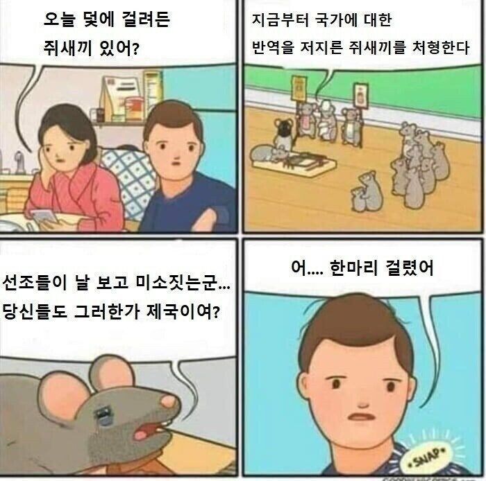 덫에 걸려든 쥐 만화_1.jpg